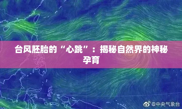 台风胚胎的“心跳”：揭秘自然界的神秘孕育