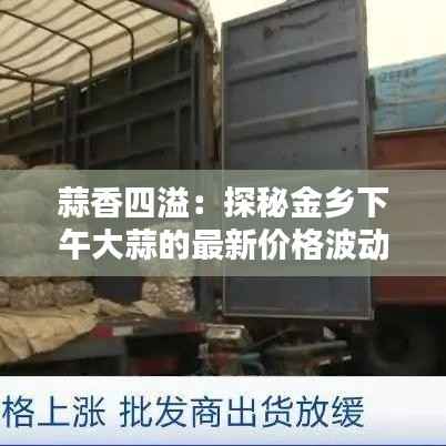 蒜香四溢：探秘金乡下午大蒜的最新价格波动