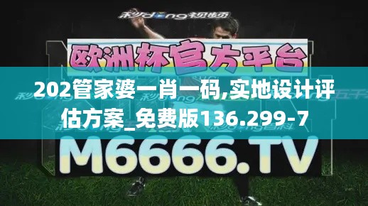 202管家婆一肖一码,实地设计评估方案_免费版136.299-7
