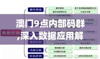 澳门9点内部码群,深入数据应用解析_精装款1.565