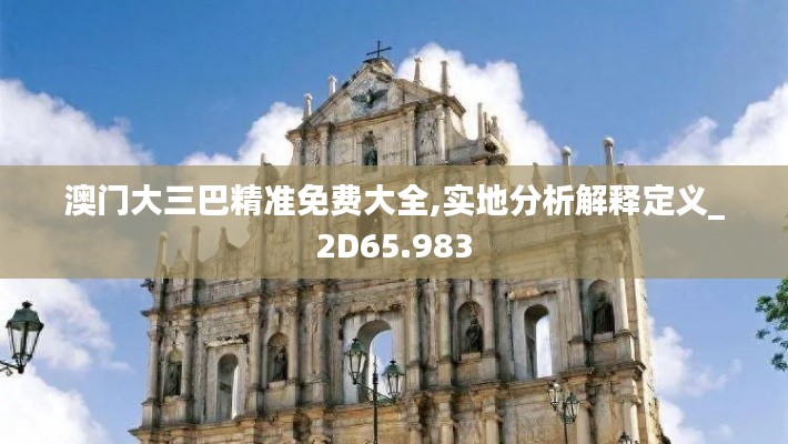 澳门大三巴精准免费大全,实地分析解释定义_2D65.983