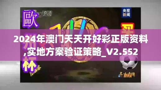2024年澳门天天开好彩正版资料,实地方案验证策略_V2.552