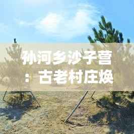 孙河乡沙子营:古老村庄焕发新生,热门消息引爆关注