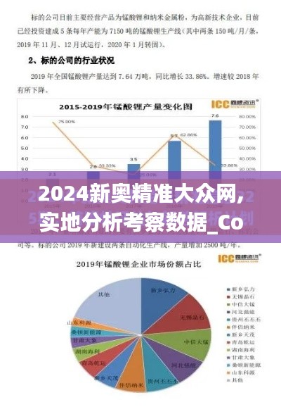 2024新奥精准大众网,实地分析考察数据_Console3.948
