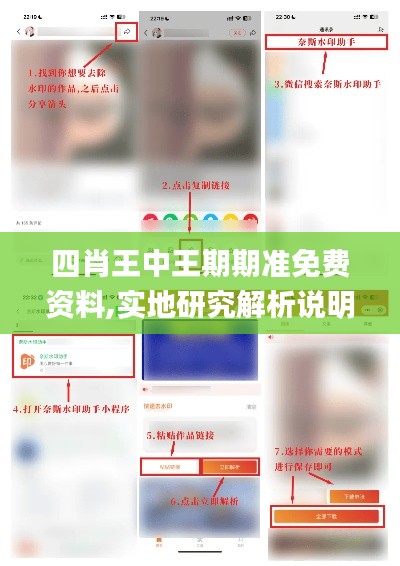 四肖王中王期期准免费资料,实地研究解析说明_游戏版9.549