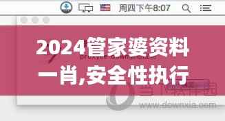 2024管家婆资料一肖,安全性执行策略_Holo4.512