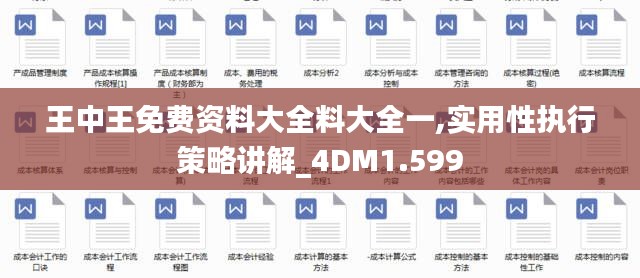 王中王免费资料大全料大全一,实用性执行策略讲解_4DM1.599