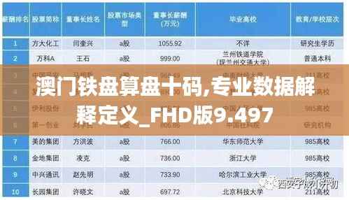 澳门铁盘算盘十码,专业数据解释定义_FHD版9.497