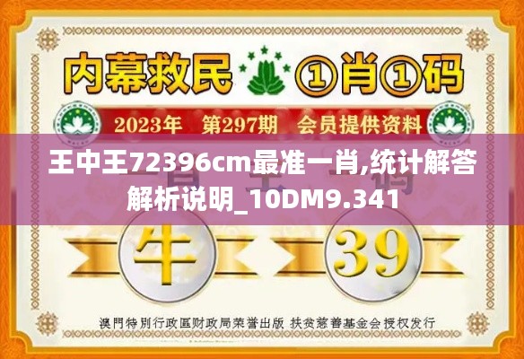 王中王72396cm最准一肖,统计解答解析说明_10DM9.341