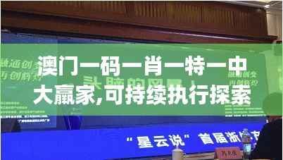 澳门一码一肖一特一中大羸家,可持续执行探索_顶级款9.581