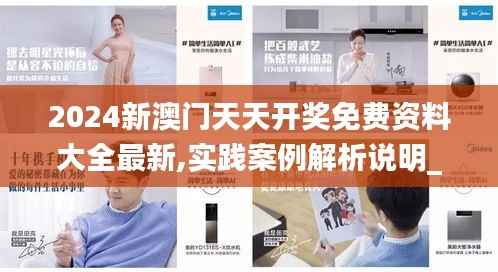 2024新澳门天天开奖免费资料大全最新,实践案例解析说明_V26.318