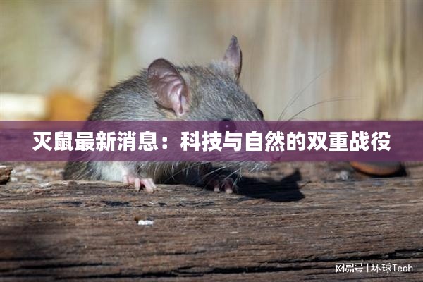 灭鼠最新消息：科技与自然的双重战役