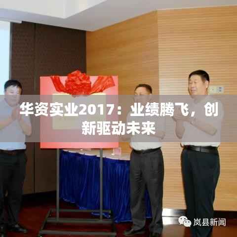 华资实业2017：业绩腾飞，创新驱动未来