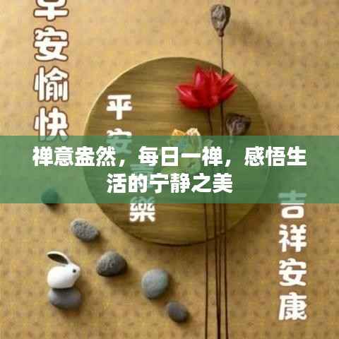 禅意盎然,每日一禅,感悟生活的宁静之美