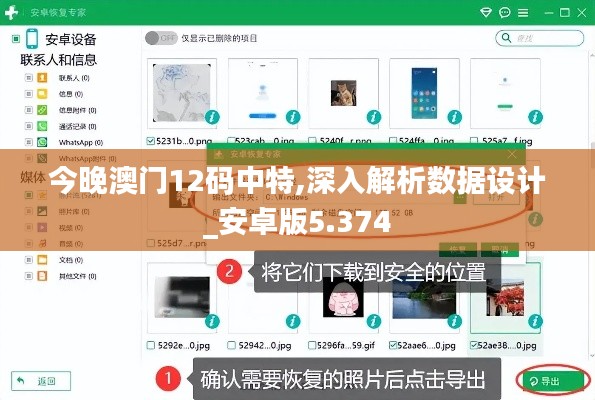 今晚澳门12码中特,深入解析数据设计_安卓版5.374