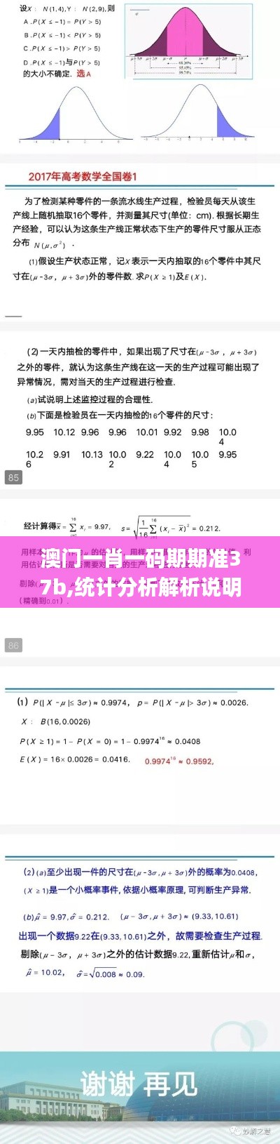 澳门一肖一码期期准37b,统计分析解析说明_XR110.738