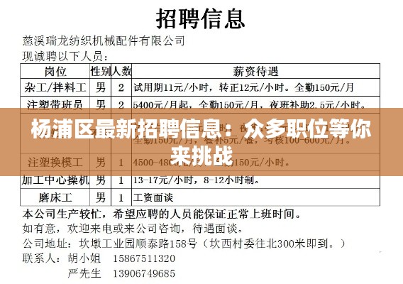 杨浦区最新招聘信息:众多职位等你来挑战