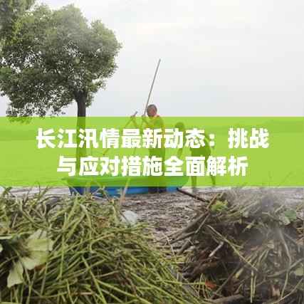 长江汛情最新动态:挑战与应对措施全面解析