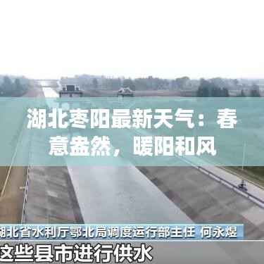 湖北枣阳最新天气：春意盎然，暖阳和风