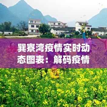 巽寮湾疫情实时动态图表:解码疫情防控的数字密码