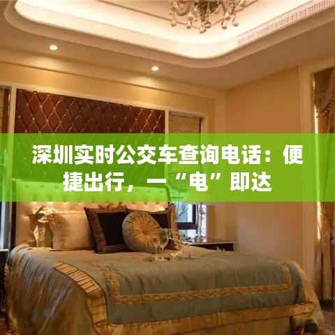 深圳实时公交车查询电话：便捷出行，一“电”即达
