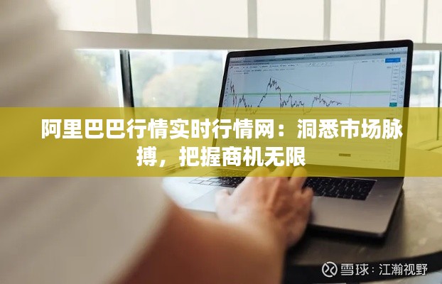 阿里巴巴行情实时行情网：洞悉市场脉搏，把握商机无限