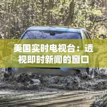 美国实时电视台：透视即时新闻的窗口
