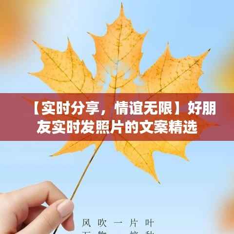 【实时分享,情谊无限】好朋友实时发照片的文案精选