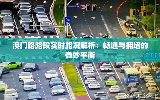 澳门路路段实时路况解析:畅通与拥堵的微妙平衡