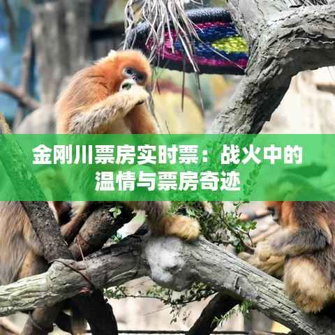 金刚川票房实时票:战火中的温情与票房奇迹