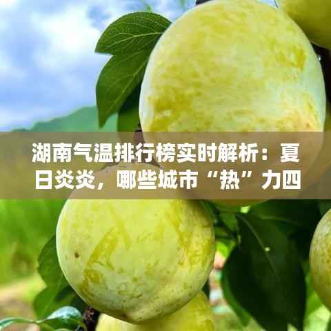湖南气温排行榜实时解析：夏日炎炎，哪些城市“热”力四射？