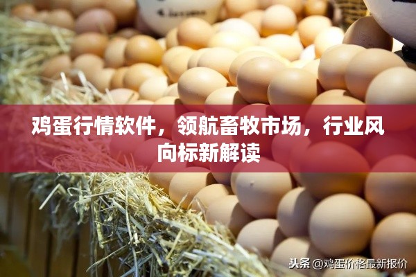 在线支付 第142页