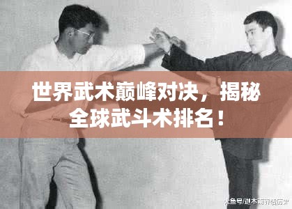 瑞雪纷飞 第3页