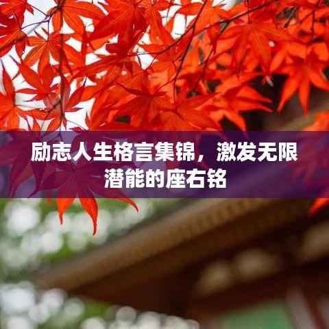 励志人生格言集锦，激发无限潜能的座右铭
