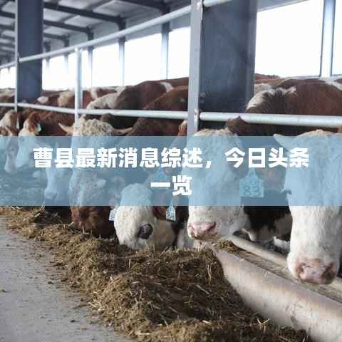 志在四方 第3页