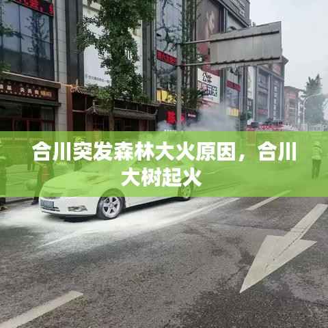 合川突发森林大火原因,合川大树起火