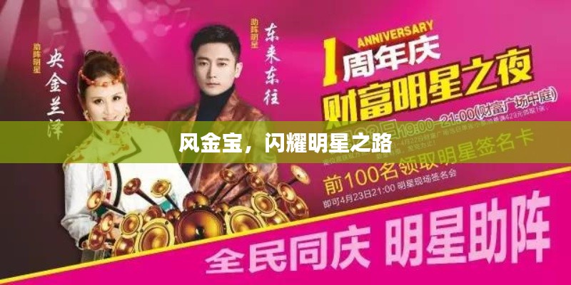 风金宝，闪耀明星之路