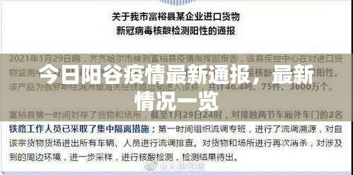 今日阳谷疫情最新通报，最新情况一览