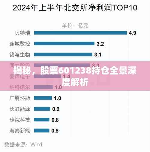 揭秘，股票601238持仓全景深度解析