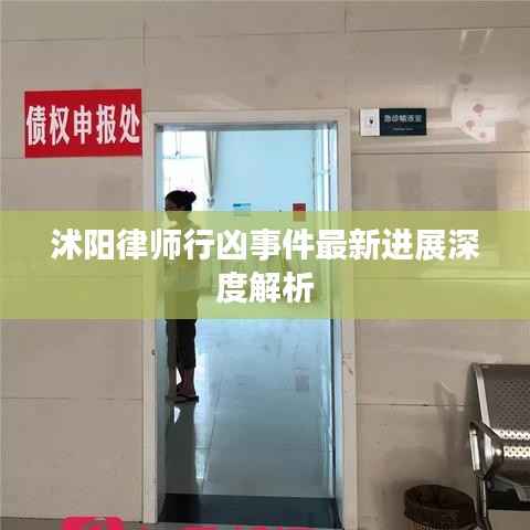 沭阳律师行凶事件最新进展深度解析