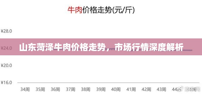 山东菏泽牛肉价格走势，市场行情深度解析