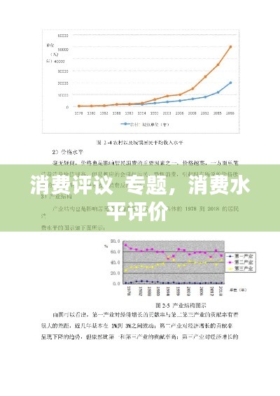 消费评议 专题,消费水平评价