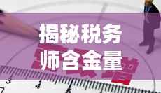 揭秘税务师含金量，洞悉其深远价值与重要性