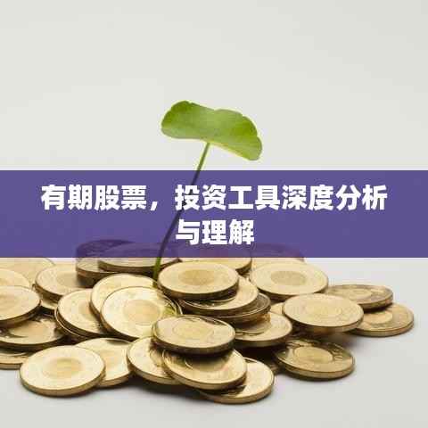 有期股票，投资工具深度分析与理解