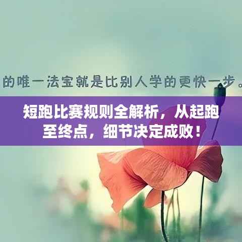 短跑比赛规则全解析,从起跑至终点,细节决定成败!