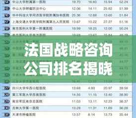 法国战略咨询公司排名揭晓,权威榜单揭秘顶级机构!