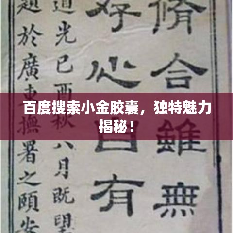 百度搜索小金胶囊,独特魅力揭秘!