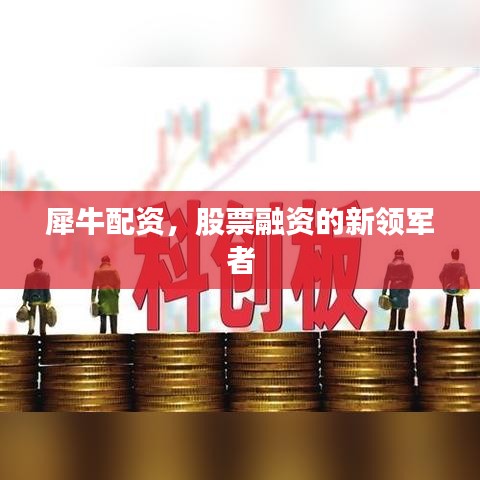 犀牛配资，股票融资的新领军者