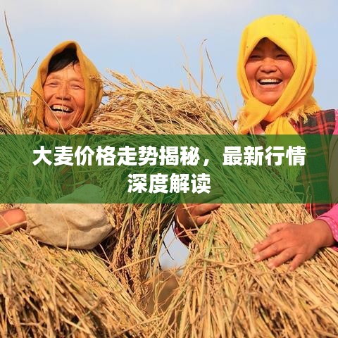 在线支付 第118页