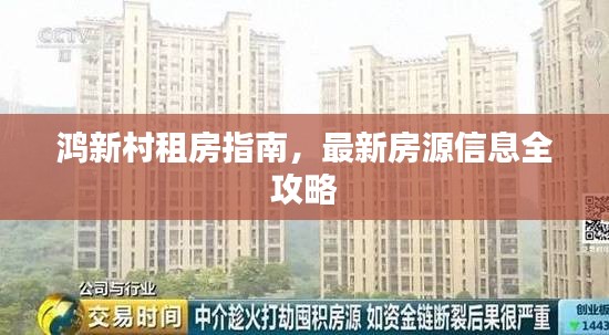 鸿新村租房指南,最新房源信息全攻略